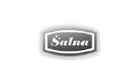 Šalna